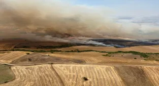 GÜNCELLEME - Balıkesir'de tarım arazisinde çıkıp ormanlık alana sıçrayan yangına müdahale ediliyor