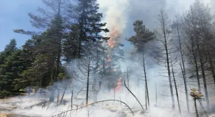 GÜNCELLEME - Bolu'nun Göynük ilçesinde çıkan orman yangınına müdahale sürüyor