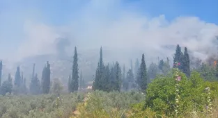 GÜNCELLEME - Bursa'da arazide başlayıp ormana sıçrayan yangın büyük oranda kontrol altına alındı