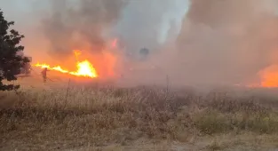GÜNCELLEME - Çanakkale'de tarım arazisinde çıkan yangın kısmen kontrol altına alındı