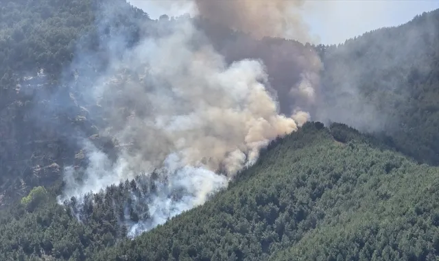 GÜNCELLEME - Hatay'da ormanlık alanda çıkan yangın kontrol altına alındı