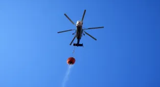 GÜNCELLEME - İzmir'in Aliağa ilçesinde çıkan orman yangını kontrol altına alındı