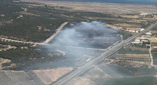 GÜNCELLEME - İzmir'in Aliağa ilçesinde çıkan orman yangını kontrol altında 