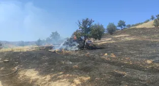 GÜNCELLEME - İzmir'in Torbalı ilçesinde çıkan orman yangını kontrol altına alındı