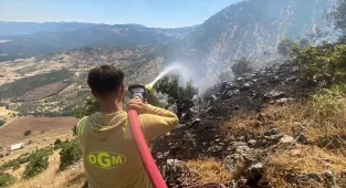 GÜNCELLEME - Kahramanmaraş'ın Türkoğlu ilçesindeki orman yangını kontrol altına alındı