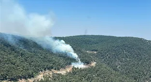 GÜNCELLEME - Manisa'da çıkan orman yangını kontrol altına alındı