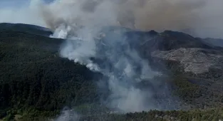GÜNCELLEME - Sakarya'da çıkan orman yangınına müdahale sürüyor