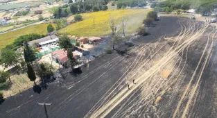 GÜNCELLEME - Tekirdağ'da buğday tarlasında başlayıp iki eve sıçrayan yangın söndürüldü