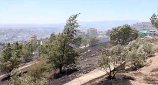 İzmir'de iki ilçede otluk alanda çıkan yangın kontrol altına alındı