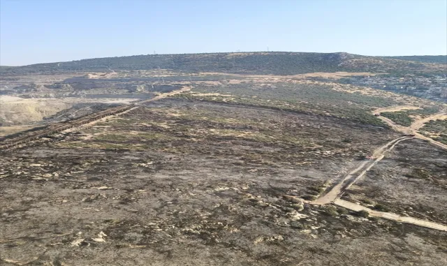 İzmir'de makilik alanda çıkan yangın kontrol altına alındı
