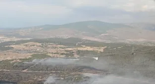 İzmir'in Aliağa ilçesinde çıkan orman yangını kontrol altına alındı