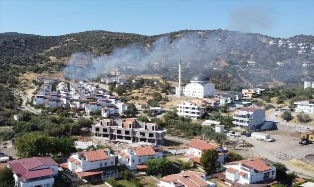 İzmir'in Dikili ilçesinde çıkan yangına müdahale ediliyor