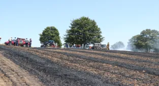 Kocaeli'de tarım arazisinde çıkan yangında yaklaşık 150 dönüm alan zarar gördü
