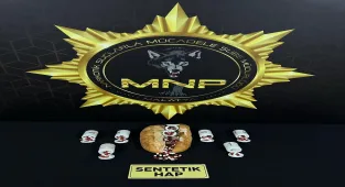 Malatya'da ekmeğin arasına uyuşturucu gizleyen 2 zanlı yakalandı