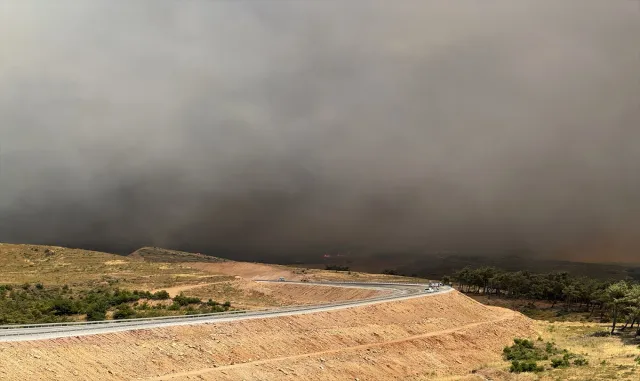 Manisa'nın Akhisar ilçesinde çıkan orman yangınına müdahale sürüyor