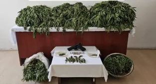 Mardin'de uyuşturucu operasyonunda 4 zanlı yakalandı