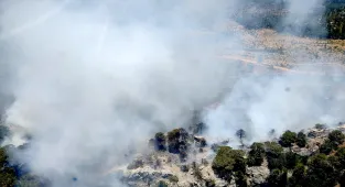 Mersin'de orman yangını çıktı
