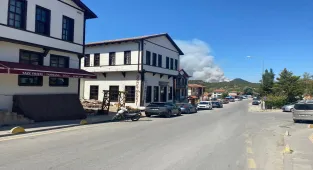 Sakarya'da ormanlık alanda çıkan yangına müdahale ediliyor