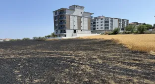 Tekirdağ'da 30 dekar buğday ekili alan yandı