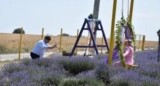 Tekirdağ’da lavanta bahçeleri fotoğraf tutkunlarını ağırlıyor