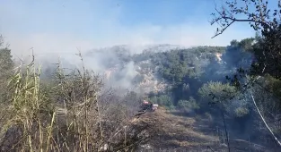 Adana'da makilikte başlayıp ormanlık alana sıçrayan yangın kontrol altına alındı