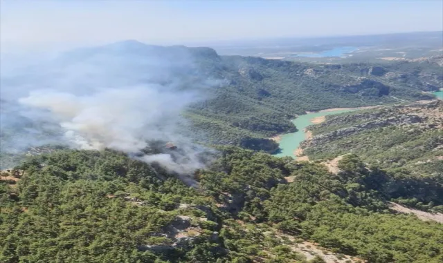 Adana'da ormanlık alanda yangın çıktı