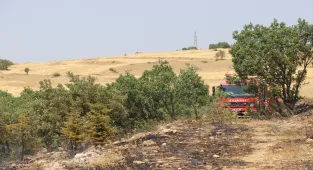 Amasya'da otluk arazide çıkıp ormanlık alana sıçrayan yangın söndürüldü