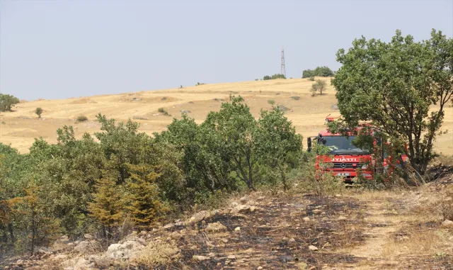 Amasya'da otluk arazide çıkıp ormanlık alana sıçrayan yangın söndürüldü