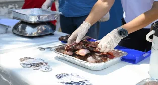 Antalya'da Aslan Balığı Avlama Yarışması düzenlendi