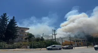 Antalya'nın Aksu ilçesinde çıkan yangına müdahale ediliyor