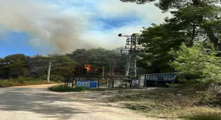 Antalya'nın Manavgat ilçesinde çıkan orman yangınına müdahale ediliyor