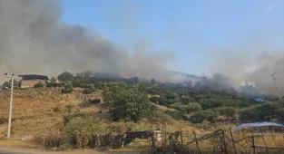 Aydın'da tarım alanında çıkan yangın kontrol altına alındı