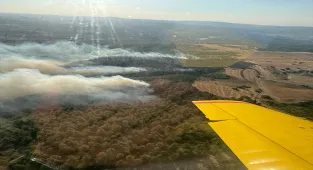 Balıkesir'de çıkan orman yangınına havadan ve karadan müdahale ediliyor