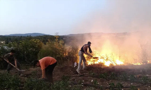 Balıkesir'de tavuk çiftliğinde başlayan yangın ormanlık alana sıçradı