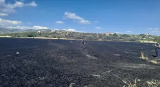 Beypazarı'nda buğday tarlasında çıkıp tarım arazilerine sıçrayan yangın söndürüldü