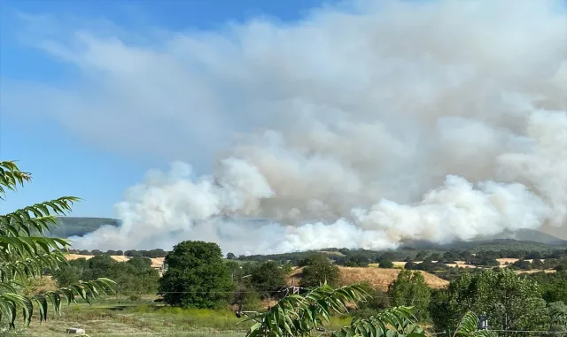 Bilecik'te anızda başlayıp ormana sıçrayan yangına müdahale ediliyor