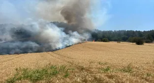 Bilecik'te çıkan orman yangınına müdahale ediliyor