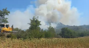 Bilecik'te ormanlık alana sıçrayan yangın tamamen kontrol altına alındı