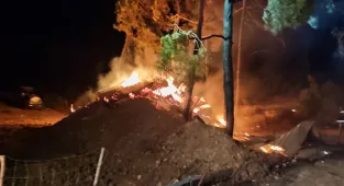 Bilecik'te yangında küçükbaş hayvanlarını kaybeden girişimcinin ırk çalışmaları da kül oldu