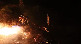 Bingöl'de ormanlık alanda çıkan yangın söndürüldü