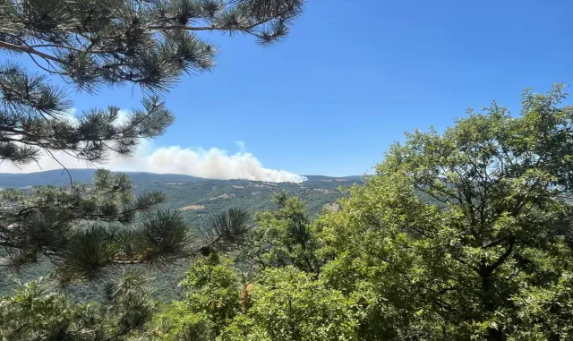 Bursa'daki orman yangını kontrol altına alındı