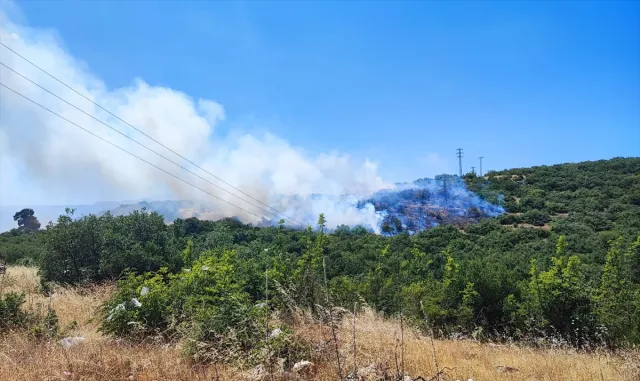 Bursa'nın 2 ilçesinde çıkan orman yangınına müdahale ediliyor