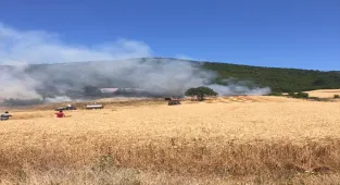 Bursa'nın Yenişehir ilçesinde çıkan orman yangınına müdahale ediliyor