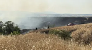 Edirne'de buğday tarlasında çıkan yangın söndürüldü