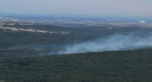 Edirne'de ormanlık alanda çıkan yangın söndürüldü