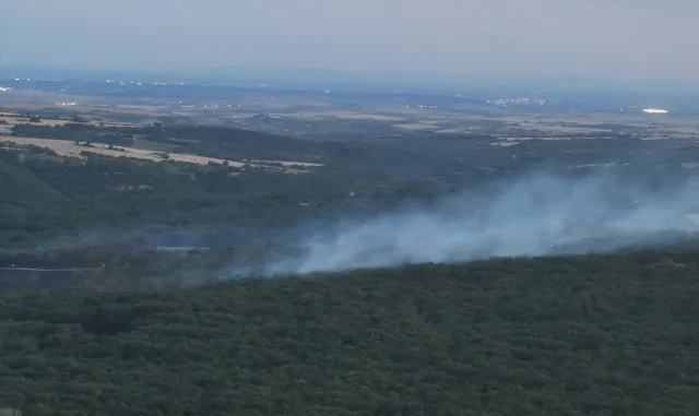 Edirne'de ormanlık alanda çıkan yangın söndürüldü