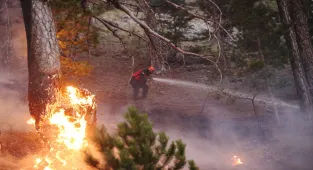GÜNCELLEME 2 - Antalya'da 5 ilçedeki orman yangınlarının 2'sine müdahale sürüyor
