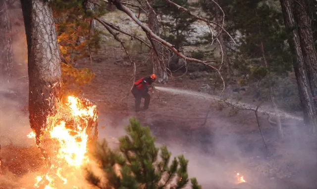 GÜNCELLEME 2 - Antalya'da 5 ilçedeki orman yangınlarının 2'sine müdahale sürüyor