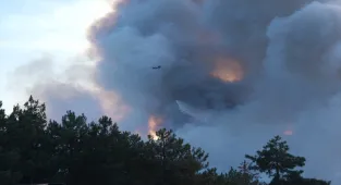 GÜNCELLEME 2 - Bursa'nın Orhaneli ilçesindeki orman yangınına müdahale sürüyor