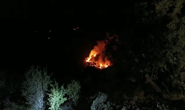 GÜNCELLEME 2 - Elazığ'da çıkan örtü yangını kontrol altına alındı